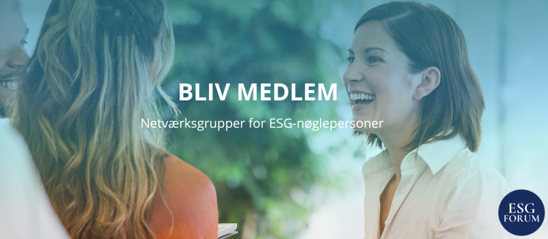 Netværksgrupper for ESG nøglepersoner